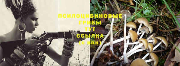 бошки Аркадак