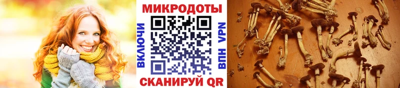 купить наркотики сайты  Балабаново  Галлюциногенные грибы ЛСД 